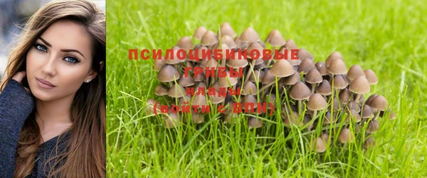 ALPHA PVP Балахна